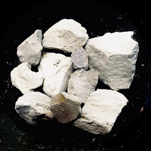 N1-Regular