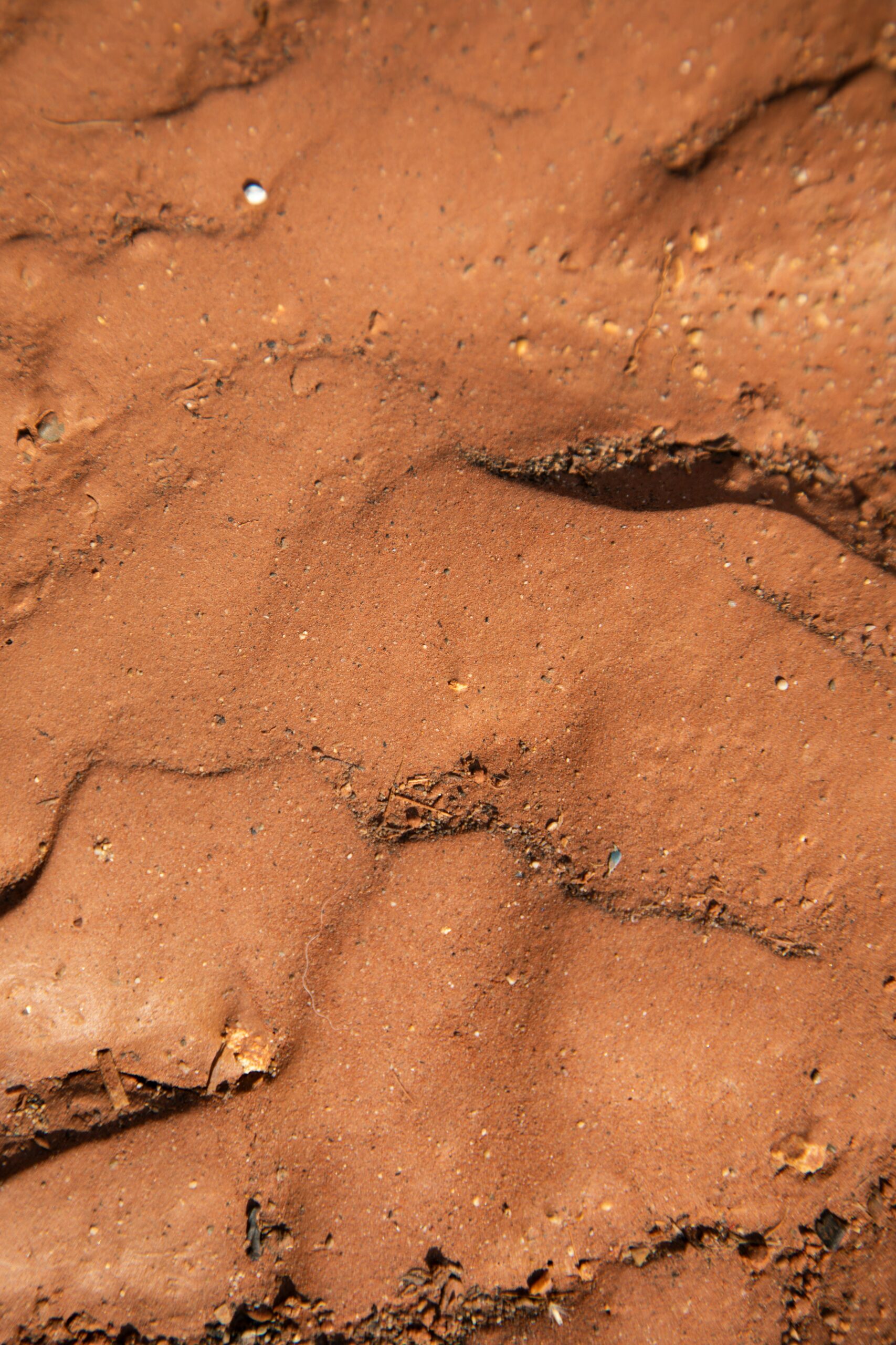 Blended Clay